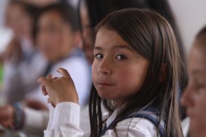 plan-alimentario-crea-f07