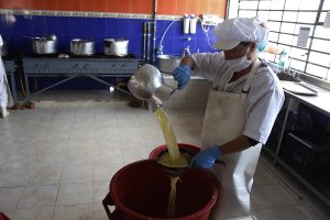 Pae_soraca_combita-f03