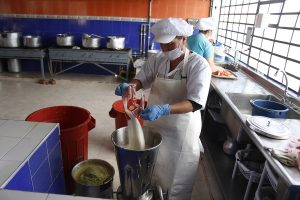 Pae_soraca_combita-f04