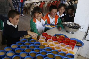 Pae_soraca_combita-f11