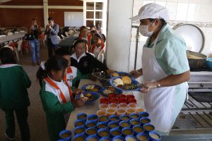 Pae_soraca_combita-f12