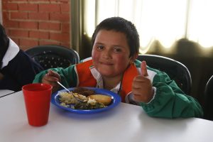 Pae_soraca_combita-f14