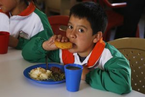 Pae_soraca_combita-f16