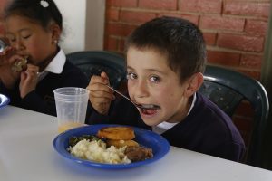 Pae_soraca_combita-f17