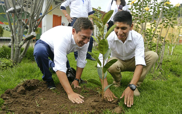 Arcabuco Alejandro Humbolt