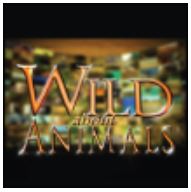 tv wild about animals