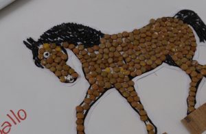 foro-ambiental-2019-f10