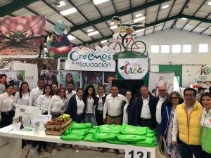 fresultados2016-2019-f10