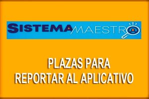 sistema-maestro-plazas