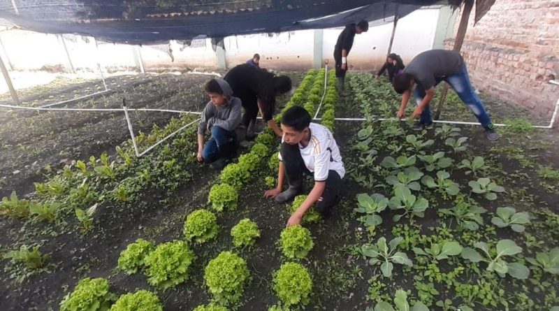 2c6e1ef4-5190-4320-b5e2-ae0d0be9efca