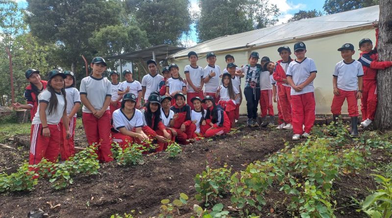 cf186d5b-4953-4780-b579-ba9117fee61a