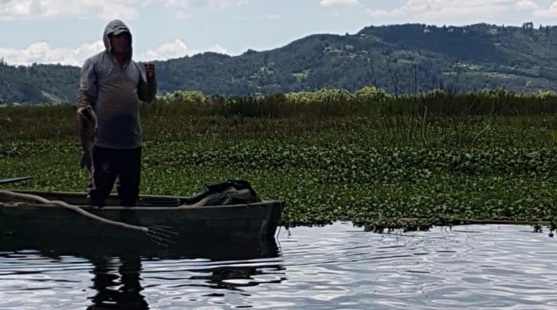 942e08d0-5229-4eae-aa11-ce691a849c91