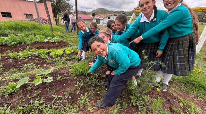 eb97d1bb-3258-4e69-9b9b-2fa069527d1a