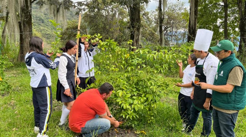 6636eaf0-cba4-49fa-b9cb-446c8803b08a