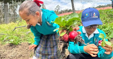 Huerta escolar de Paipa demuestra el impacto social del PAE ‘AliMente en Grande’